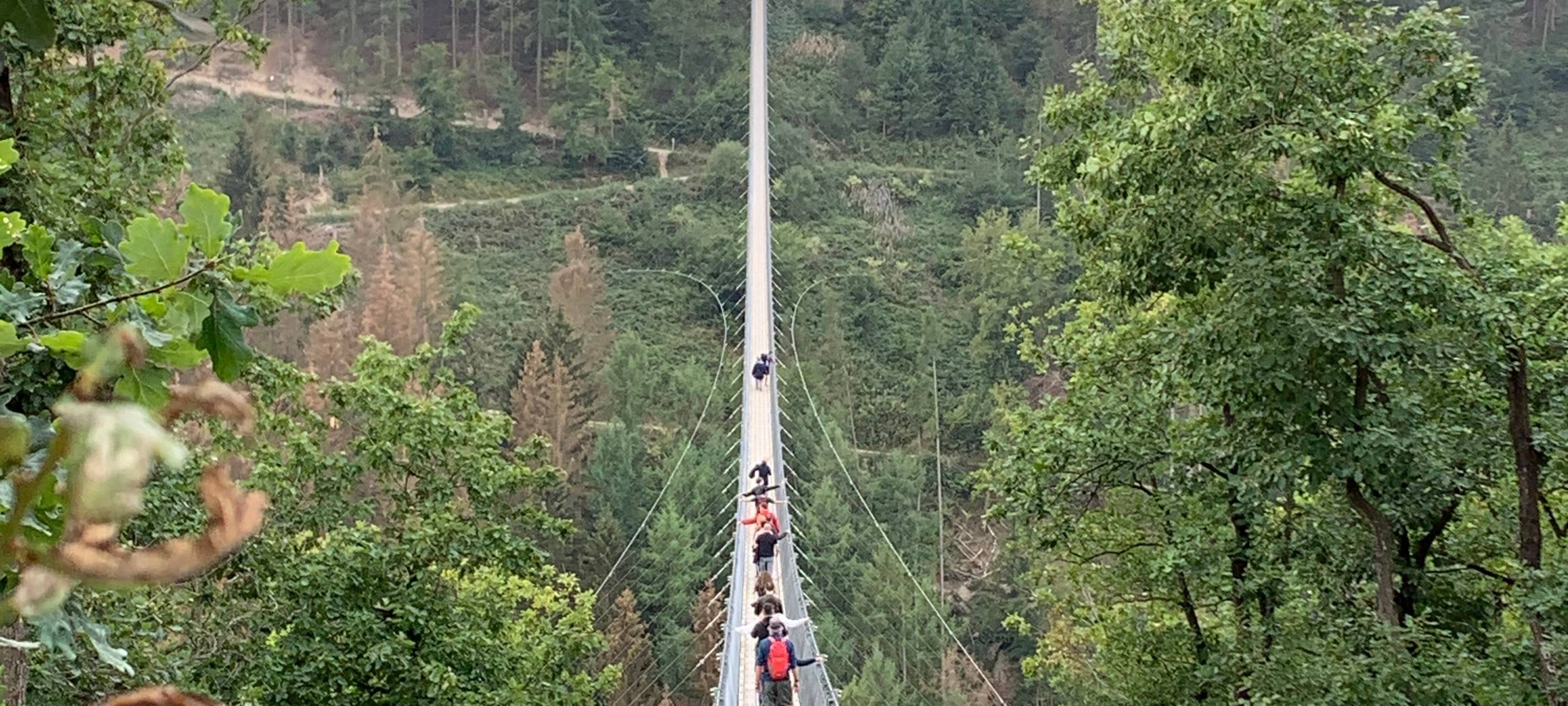 Holiday@home: Geierlay-Hängeseilbrücke