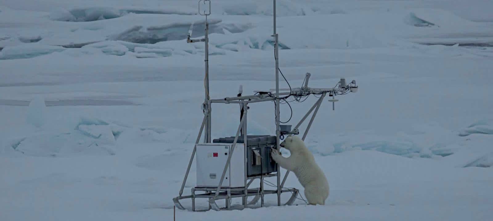 Exklusive Bilder von der Polarstern-Expediton "MOSAiC" in der Arktis