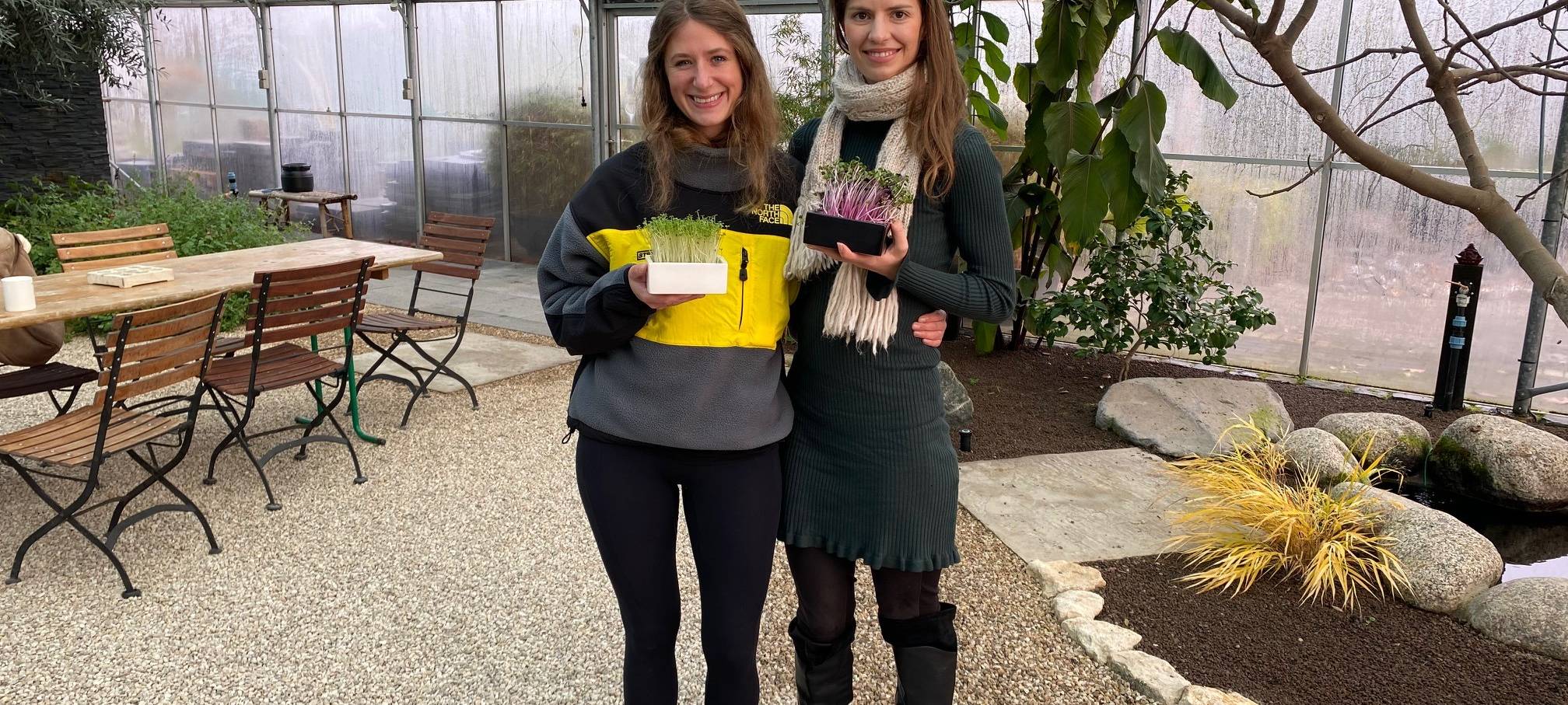 Tiny Greens – Superfood für die Fensterbank