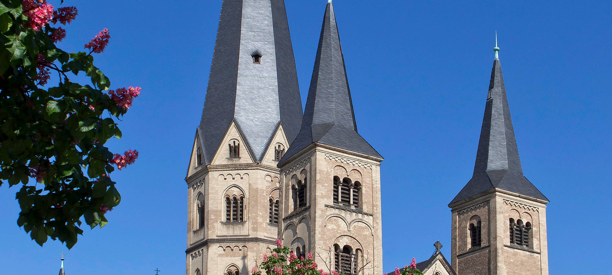 "Rauch" am Bonner Münster war ein Insektenschwarm
