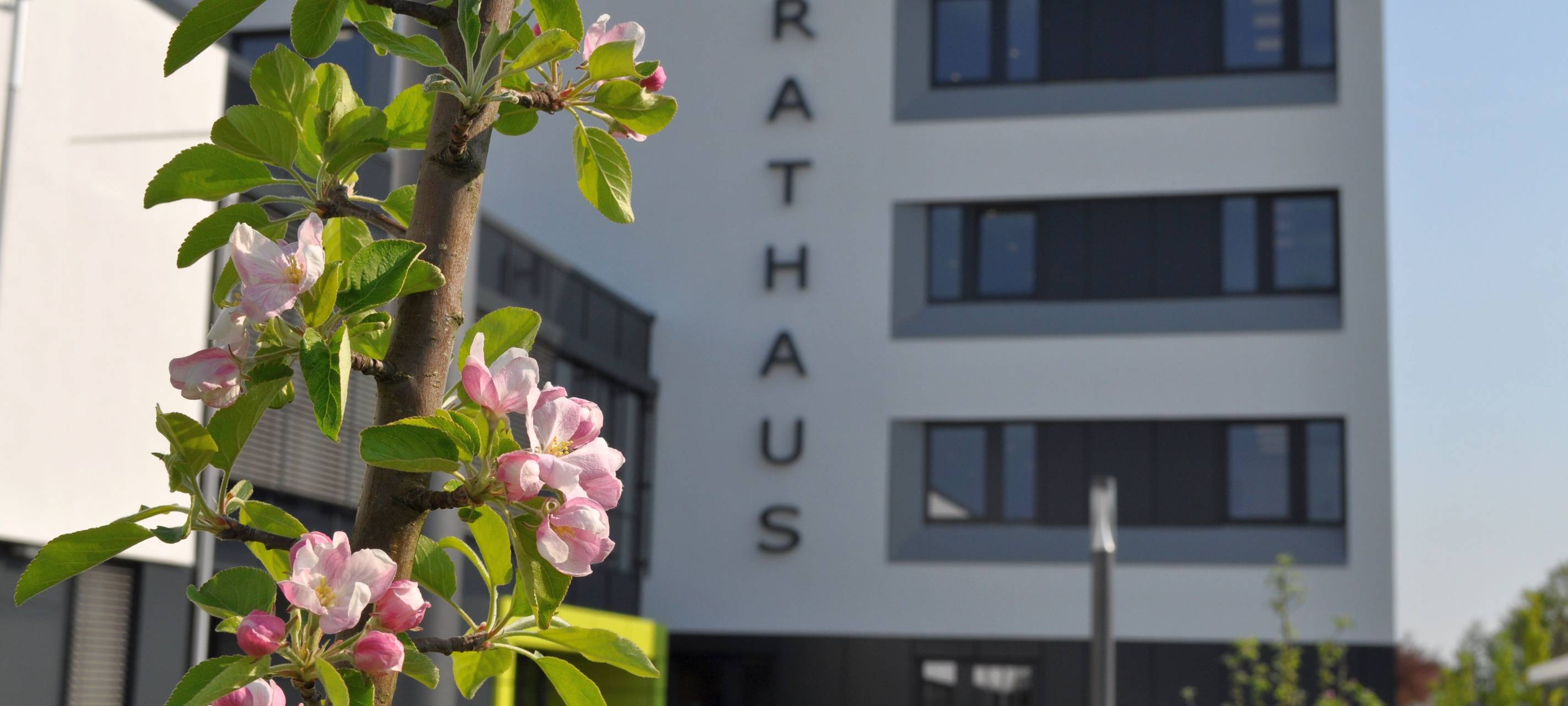 Entscheidung aus dem Rathaus: Halle in Meckenheim gesperrt