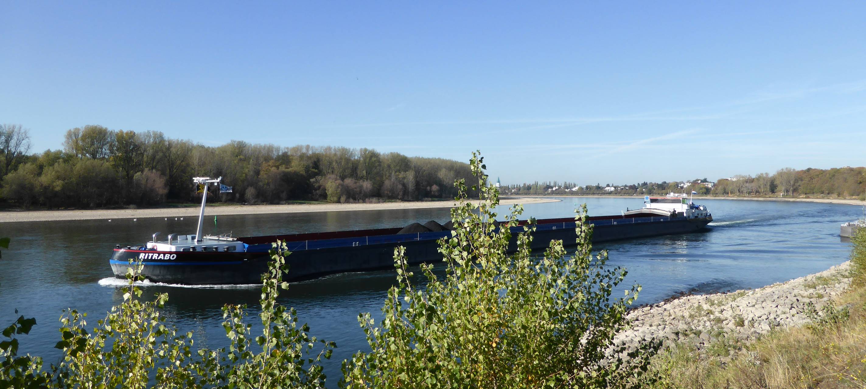 Bürgerinitiative kämpft gegen Rheinbrücke in Widdig