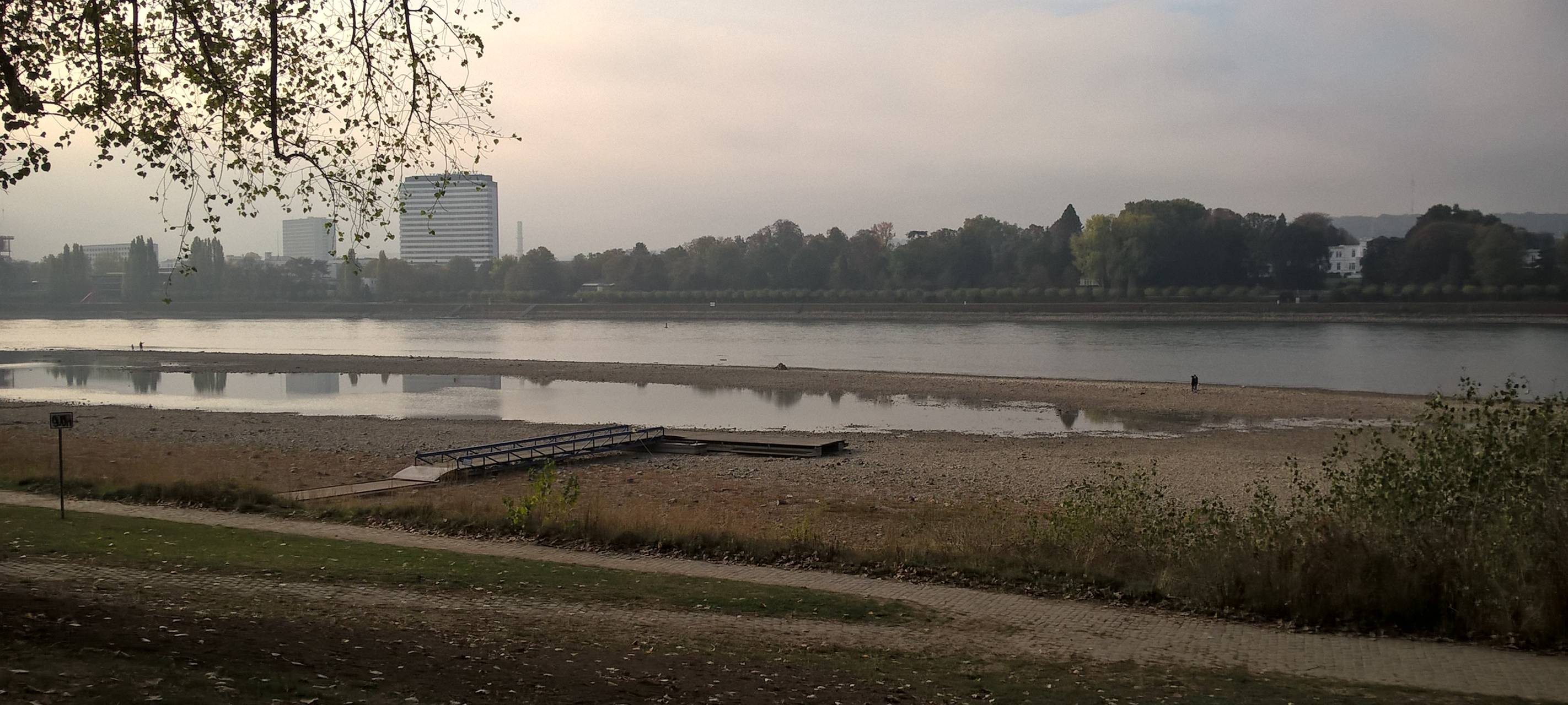 "Rhine Clean Up" am Wochenende