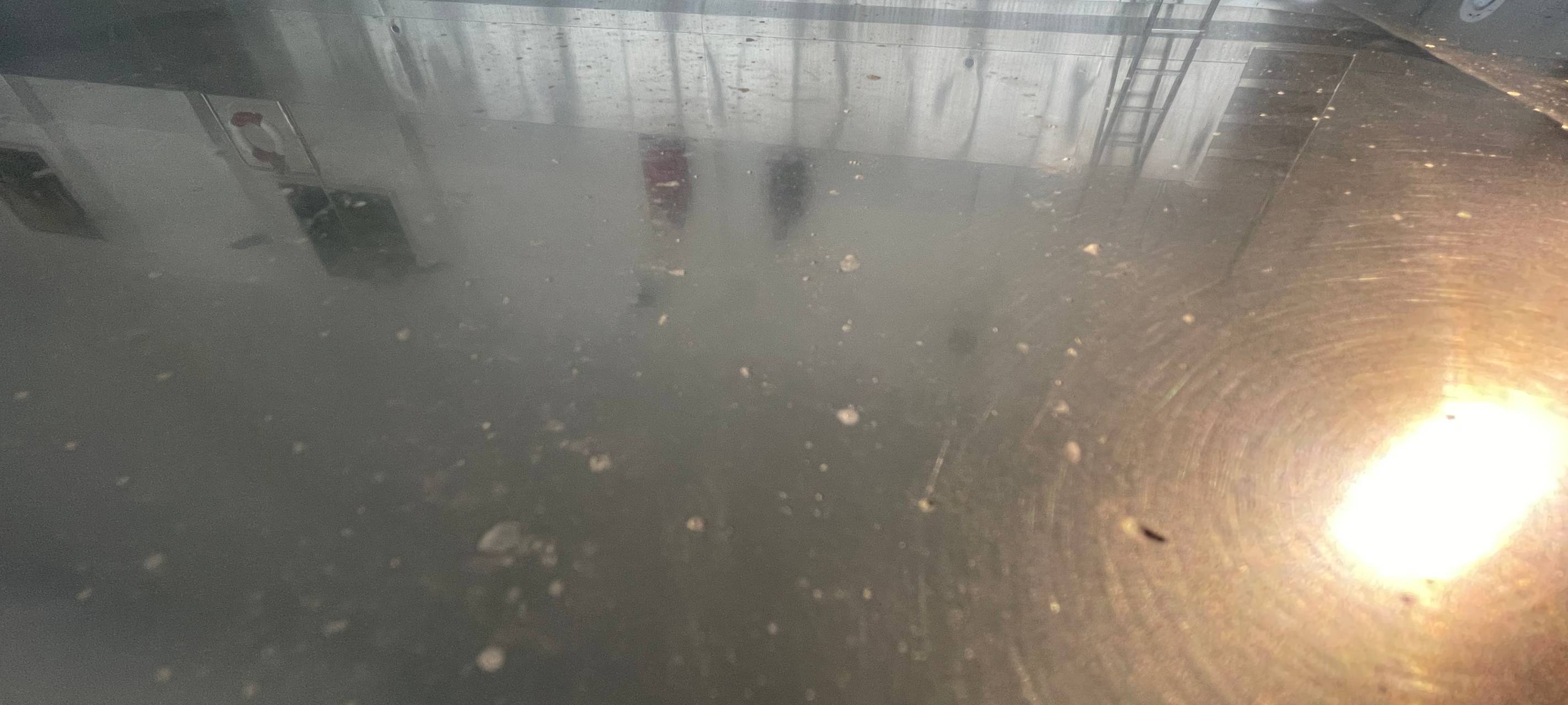 Neue Probleme und Verzögerungen im Eitorfer Schwimmbad
