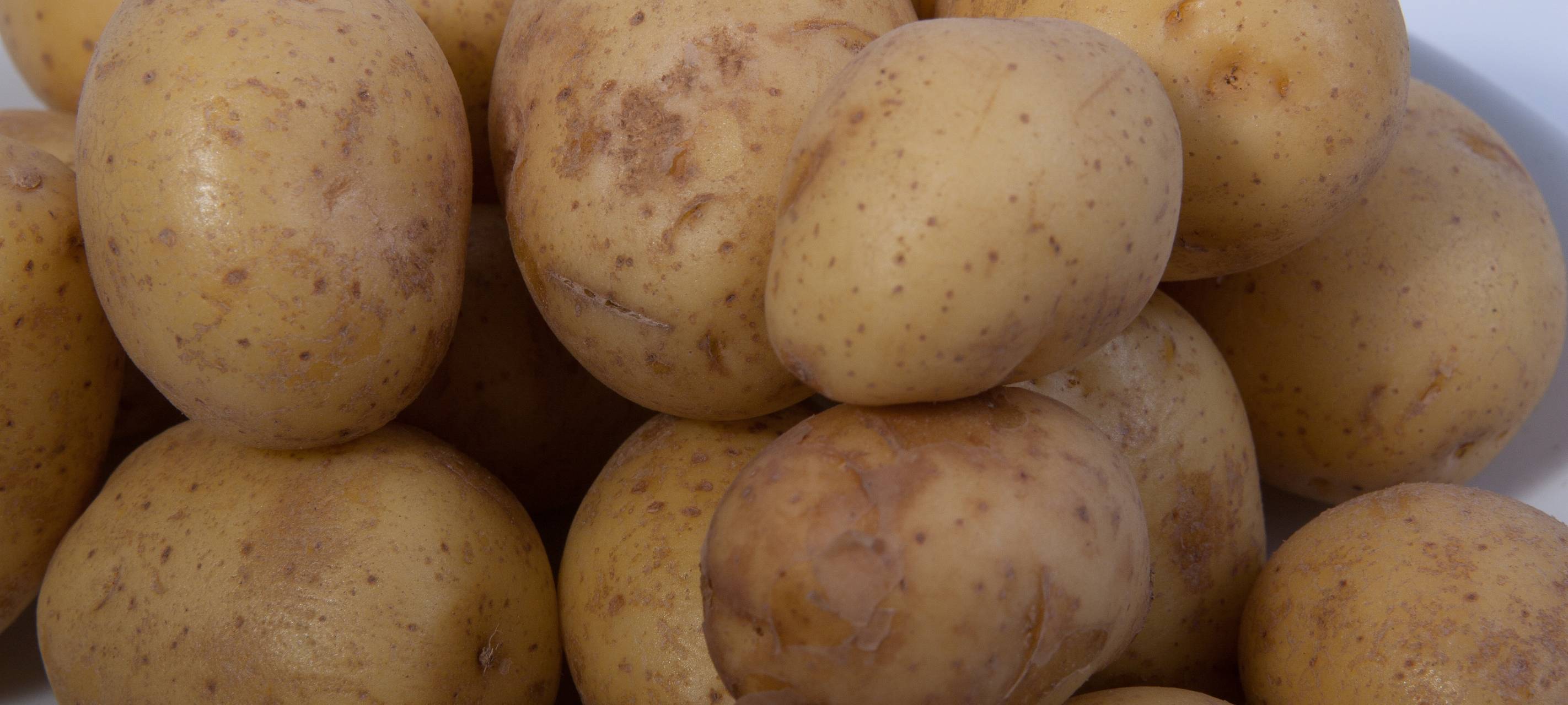 Stadt Troisdorf muss Kartoffeln entsorgen