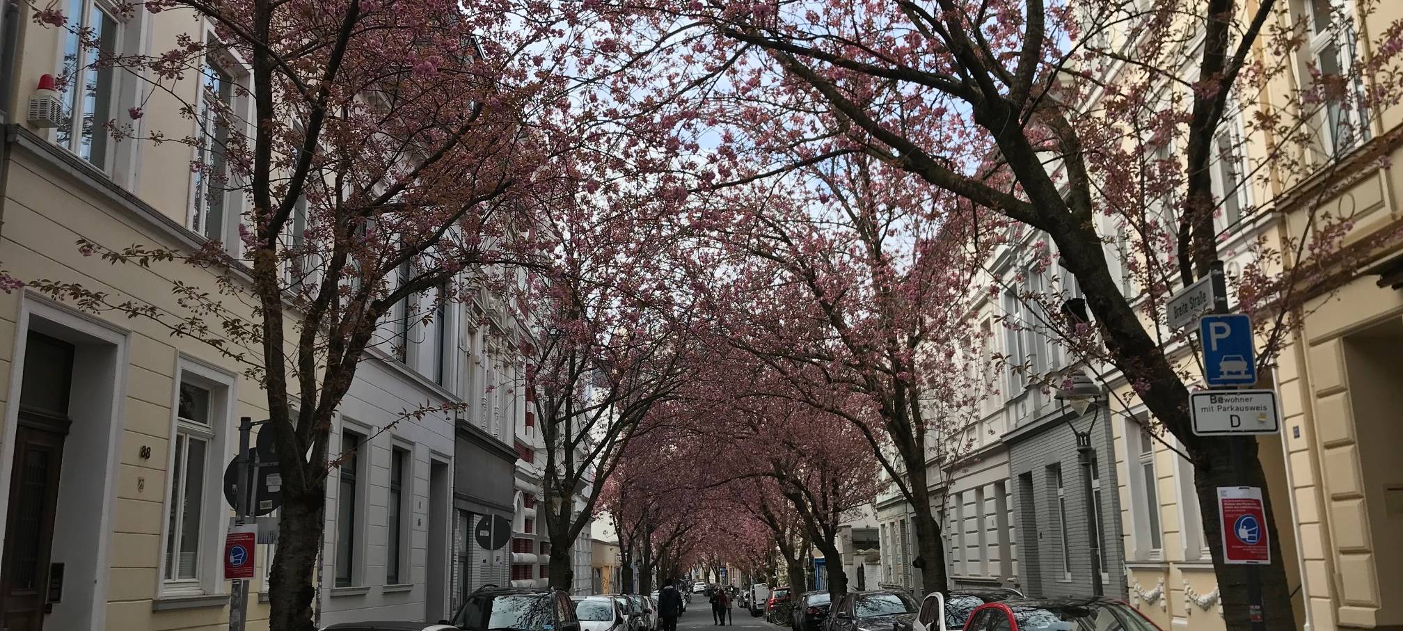 Bonner Altstadt bekommt Nachtbürgermeister