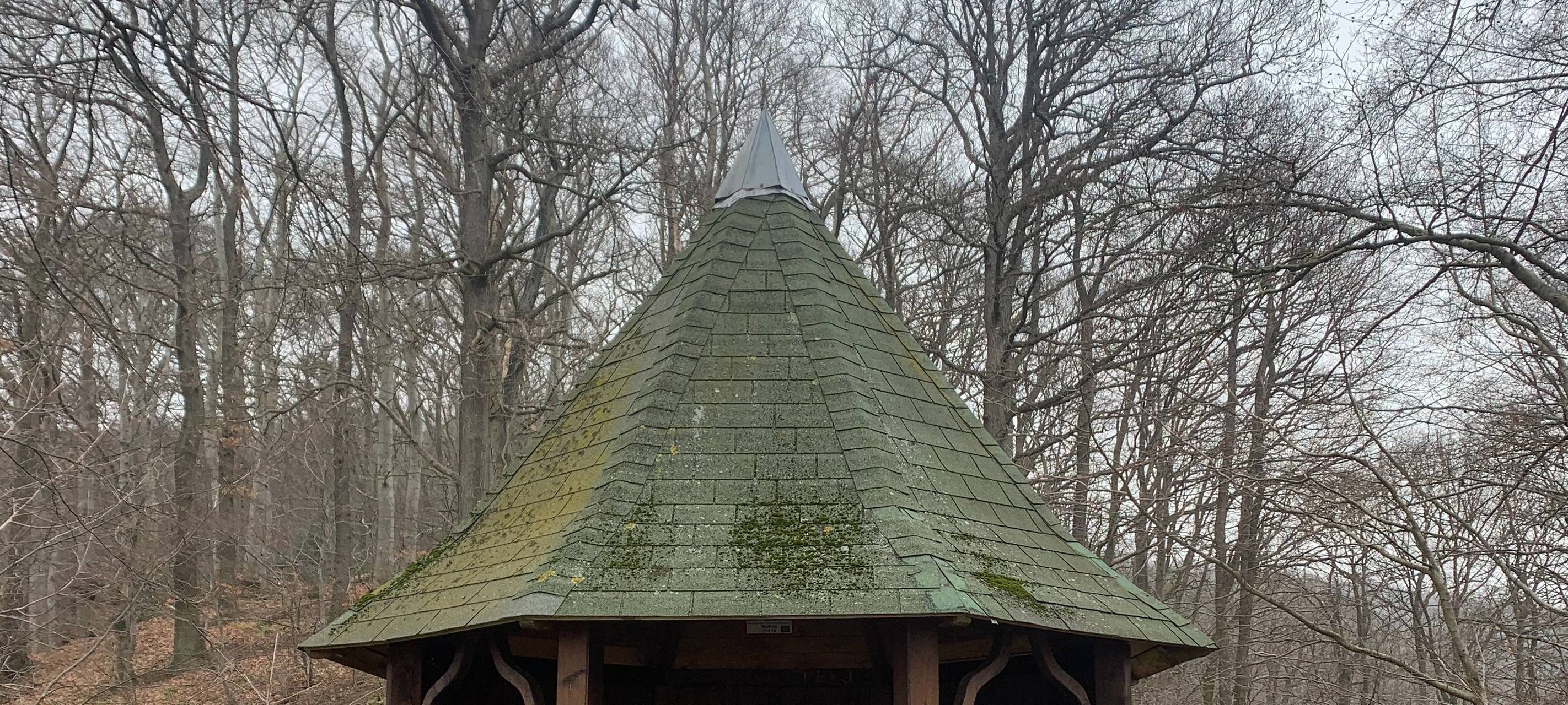 7 Tage, 7 Berge: Tour 1 - Der Lohrberg