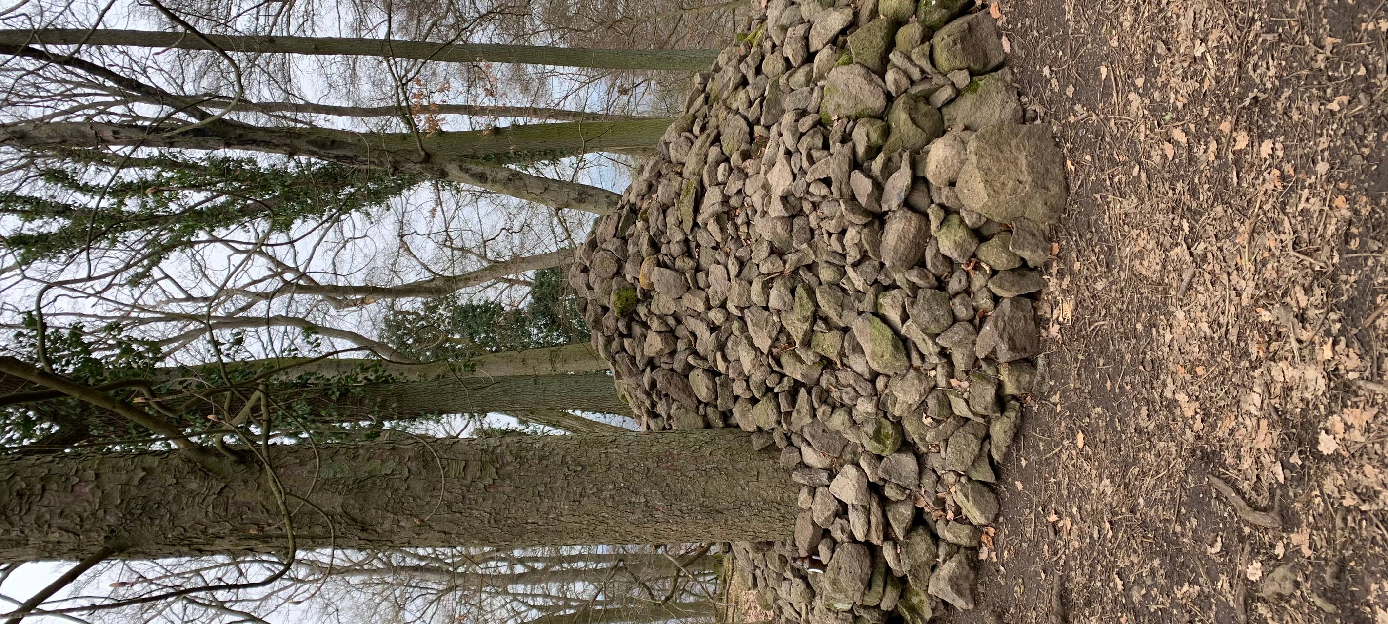 7 Tage, 7 Berge: Tour 5 - Der Nonnenstromberg