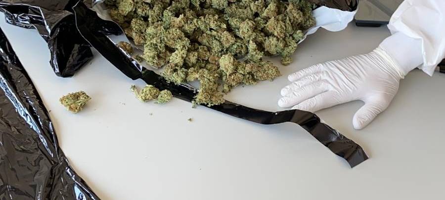 Bonn: Ermittler finden 50 Kilo Marihuana - drei Festnahmen