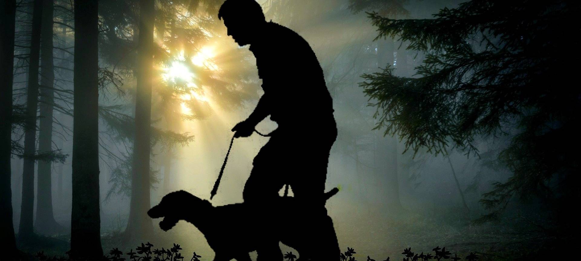Bad Honnef bittet: Hunde in Naturschutzgebieten anleinen!
