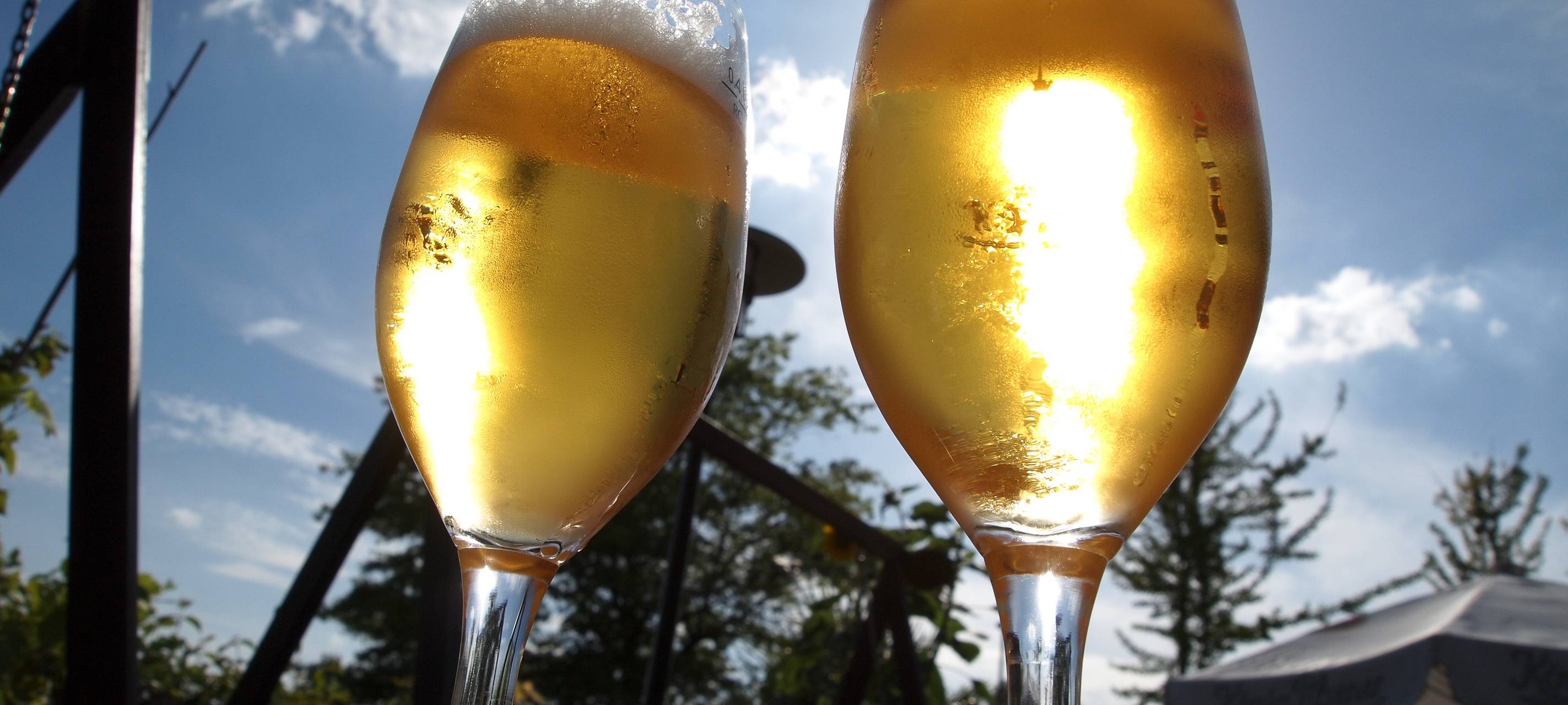 Bonn: 29. Bierbörse in der Rheinaue bis Sonntag