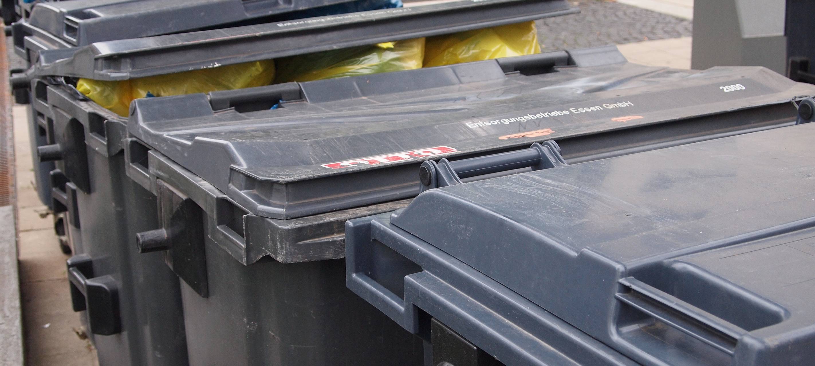 Zu viel Müll: Bonner fordern eine Steuer auf Einwegverpackungen beim Essen