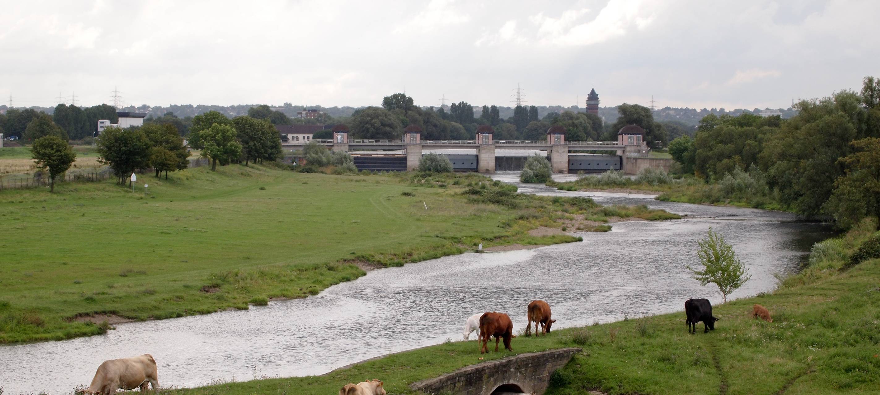 Mehr Naturschutz in der Region