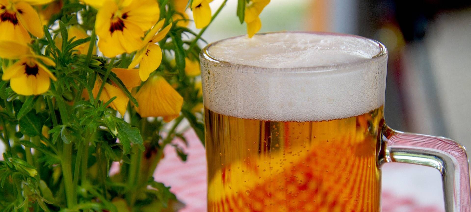 Keine Alkoholverbote in Bonn geplant