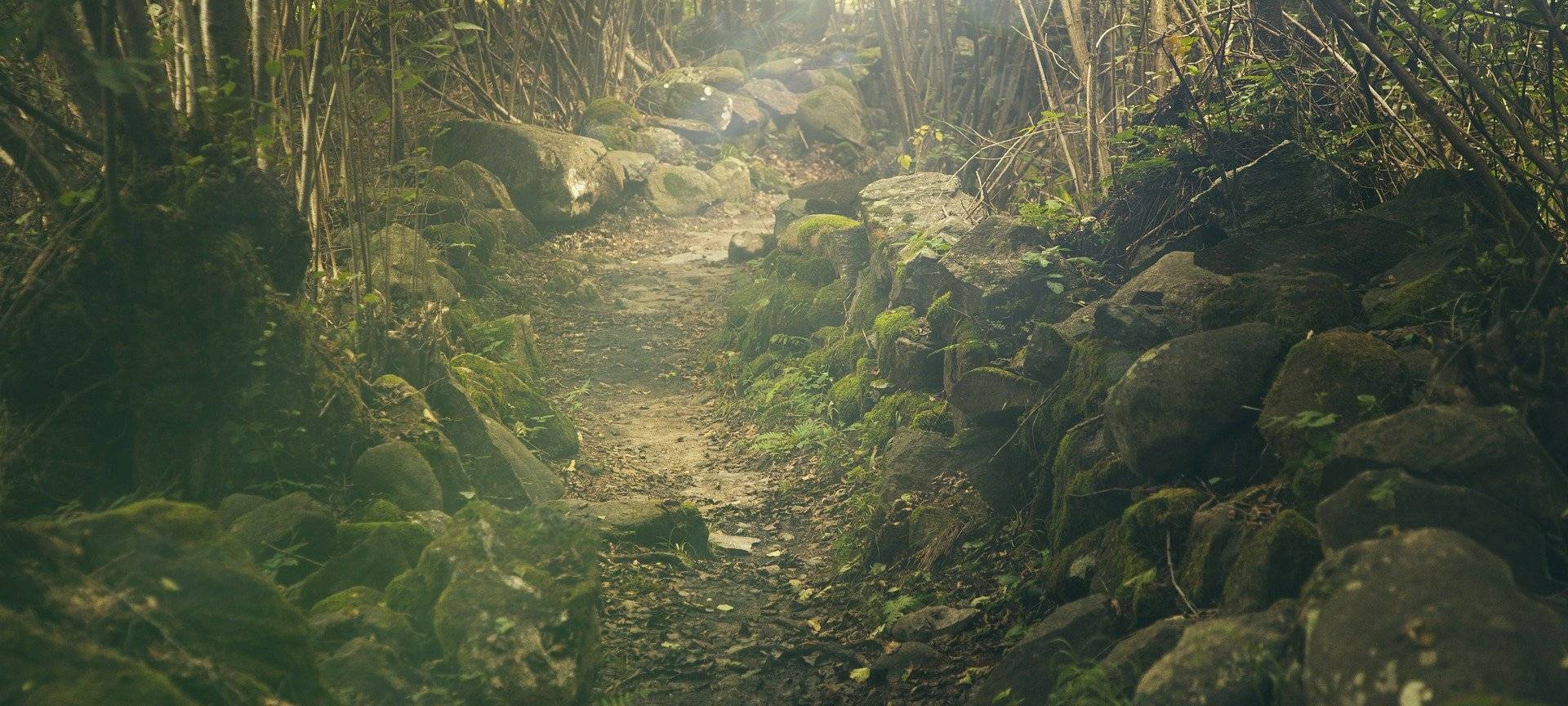 Rhein-Sieg-Kreis: Beim Wandern auf den Wegen bleiben!