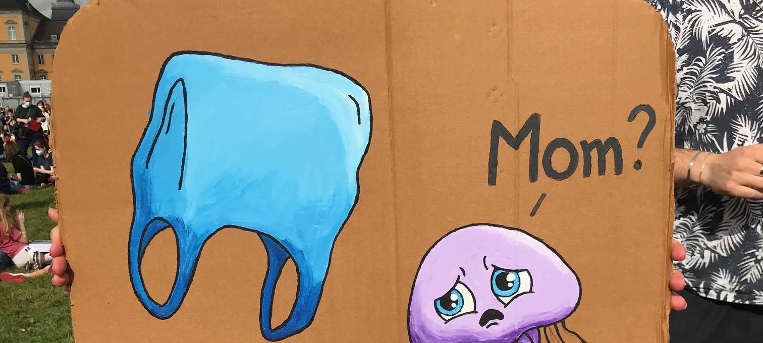 Fridays for Future demonstrieren in Bonn und Bad Honnef