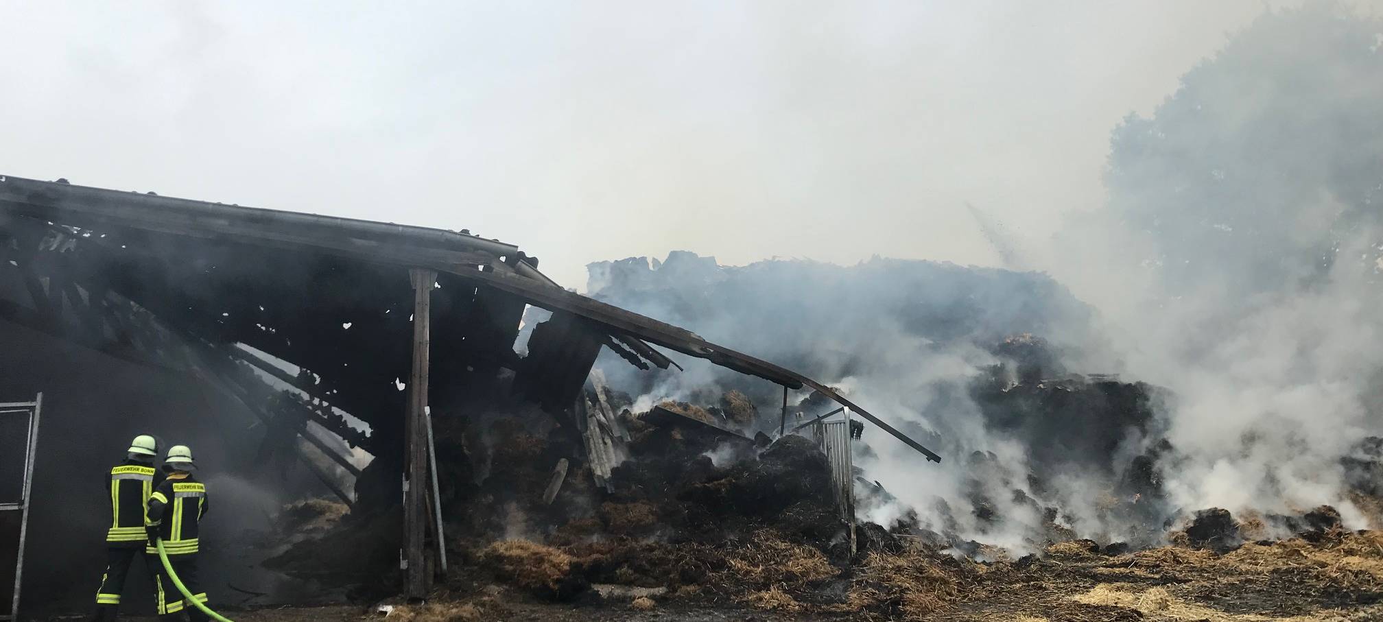 Scheunenbrand in Bonn-Friesdorf - Großaufgebot im Einsatz