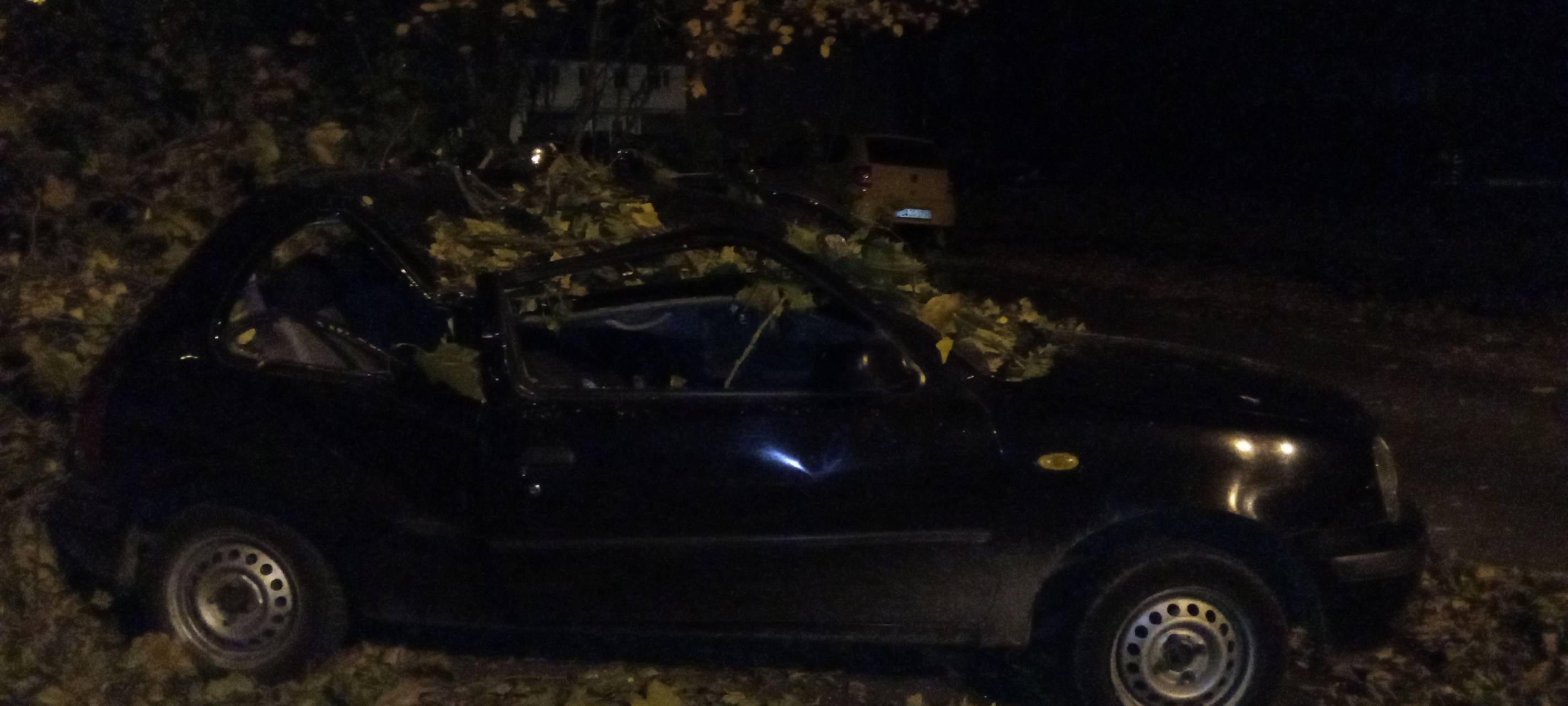 Sturm: Knapp 180 Einsätze in Bonn und im Rhein-Sieg-Kreis