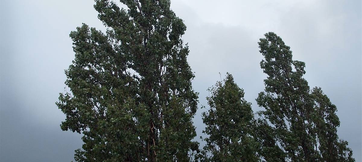 Der Sturm sorgt für viele Einsätze der Feuerwehr