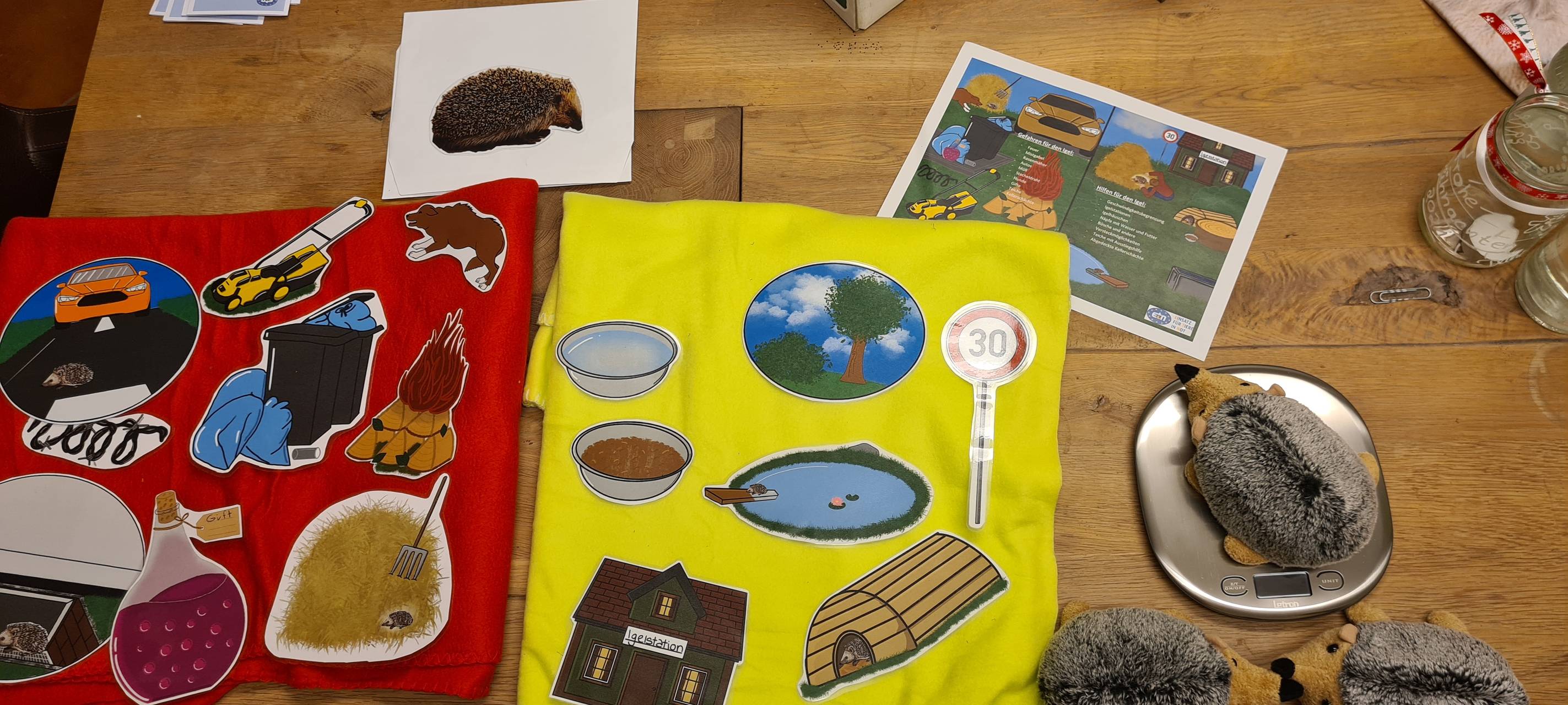Tierschutzunterricht in Schulen