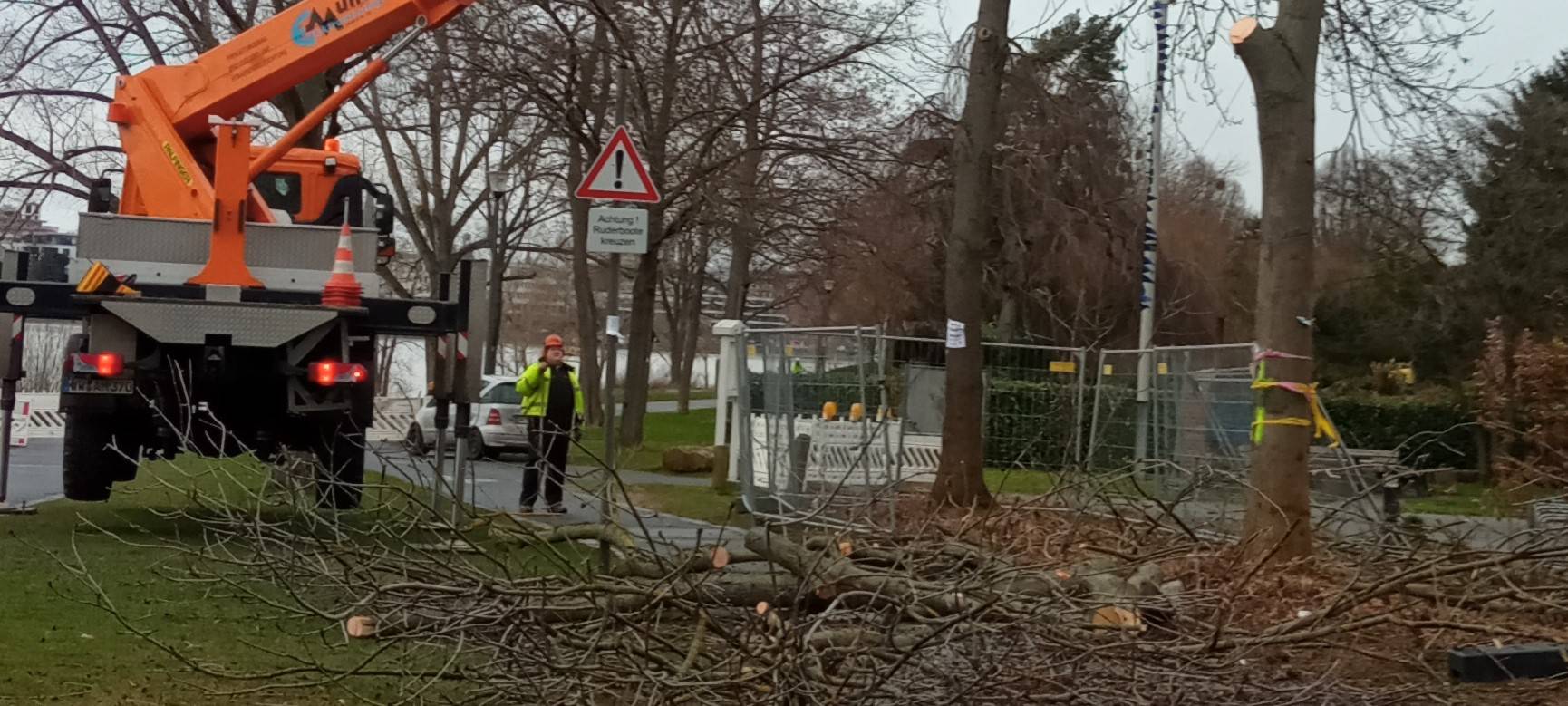 Beueler Rheinaue: umstrittener Radweg eingeweiht