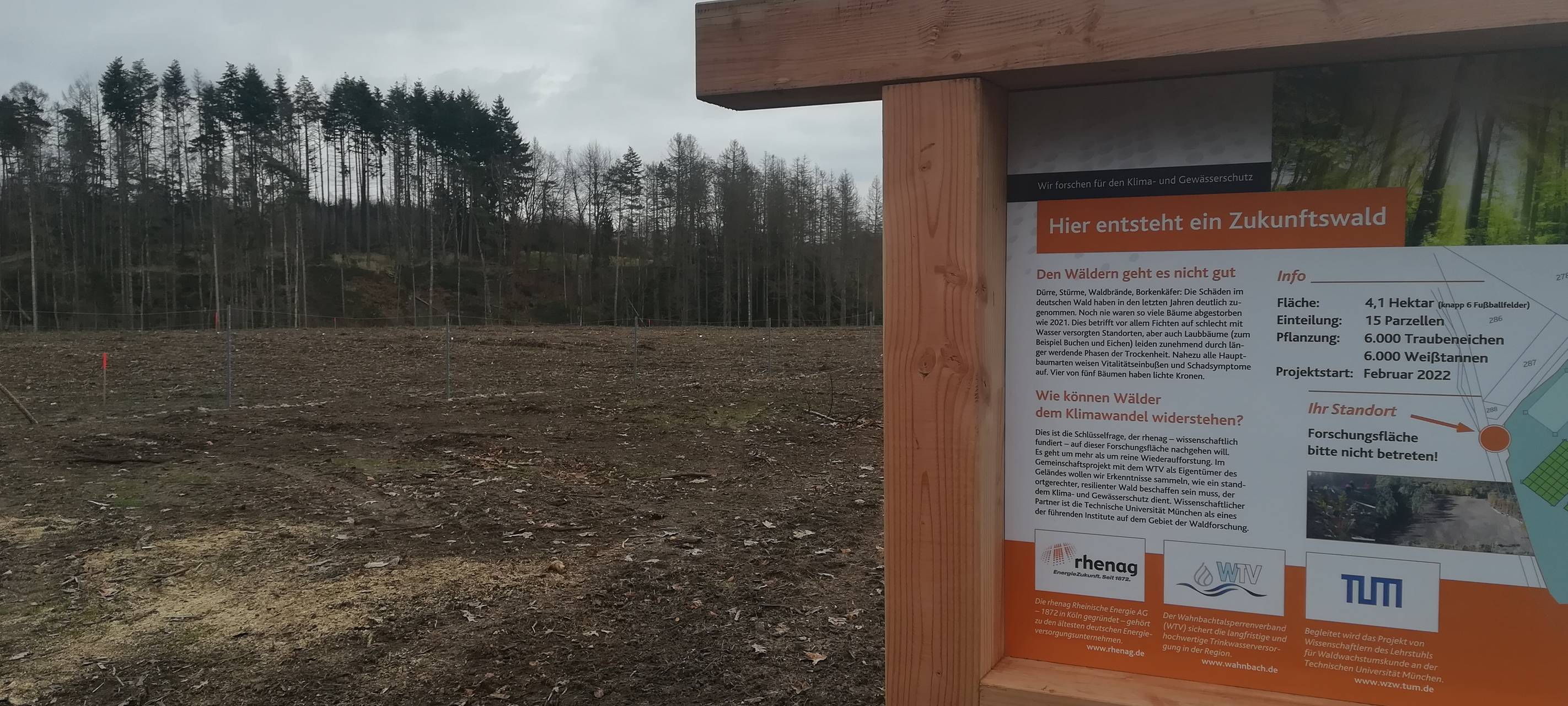 Siegburg: Projekt für Wald der Zukunft gestartet
