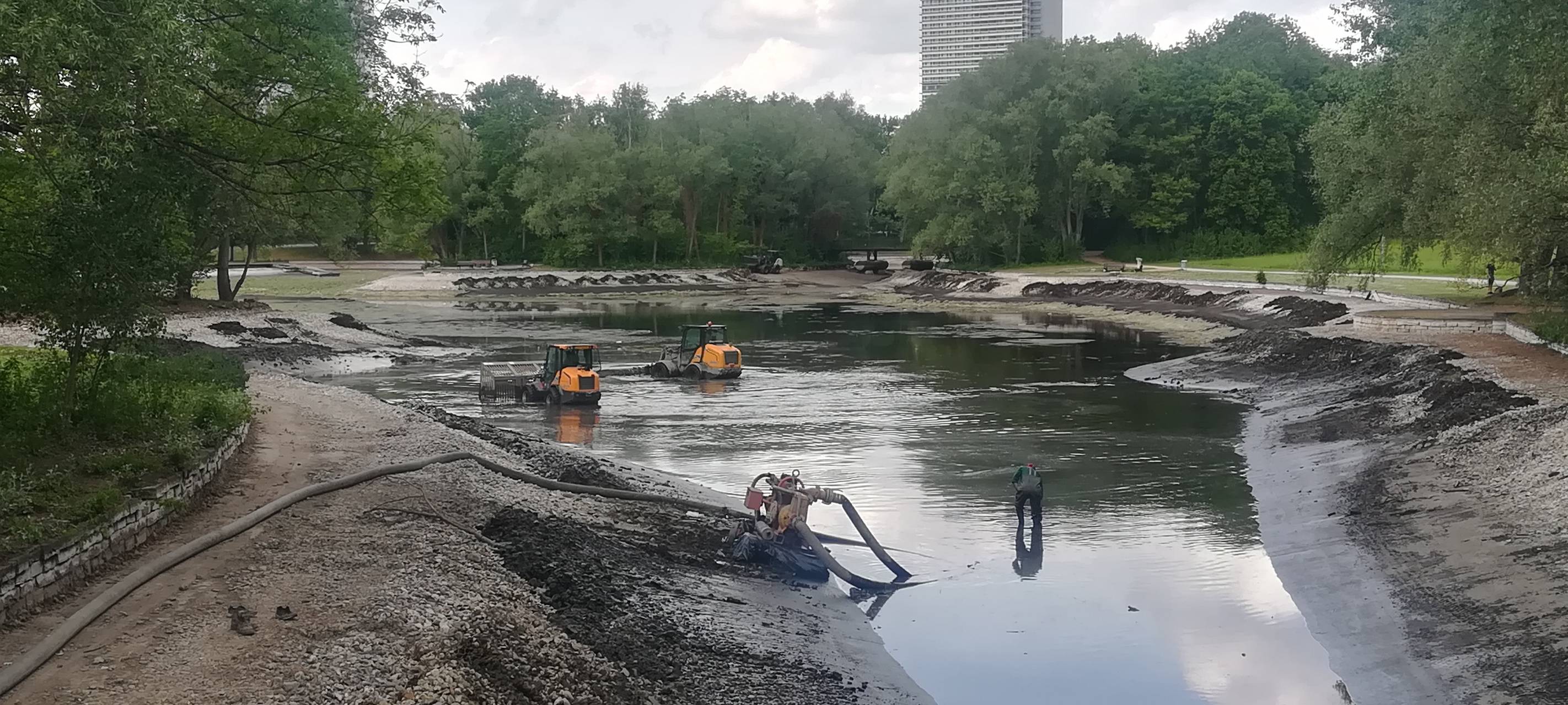 Bonner Rheinauensee bekommt 200 Kilo frische Fische