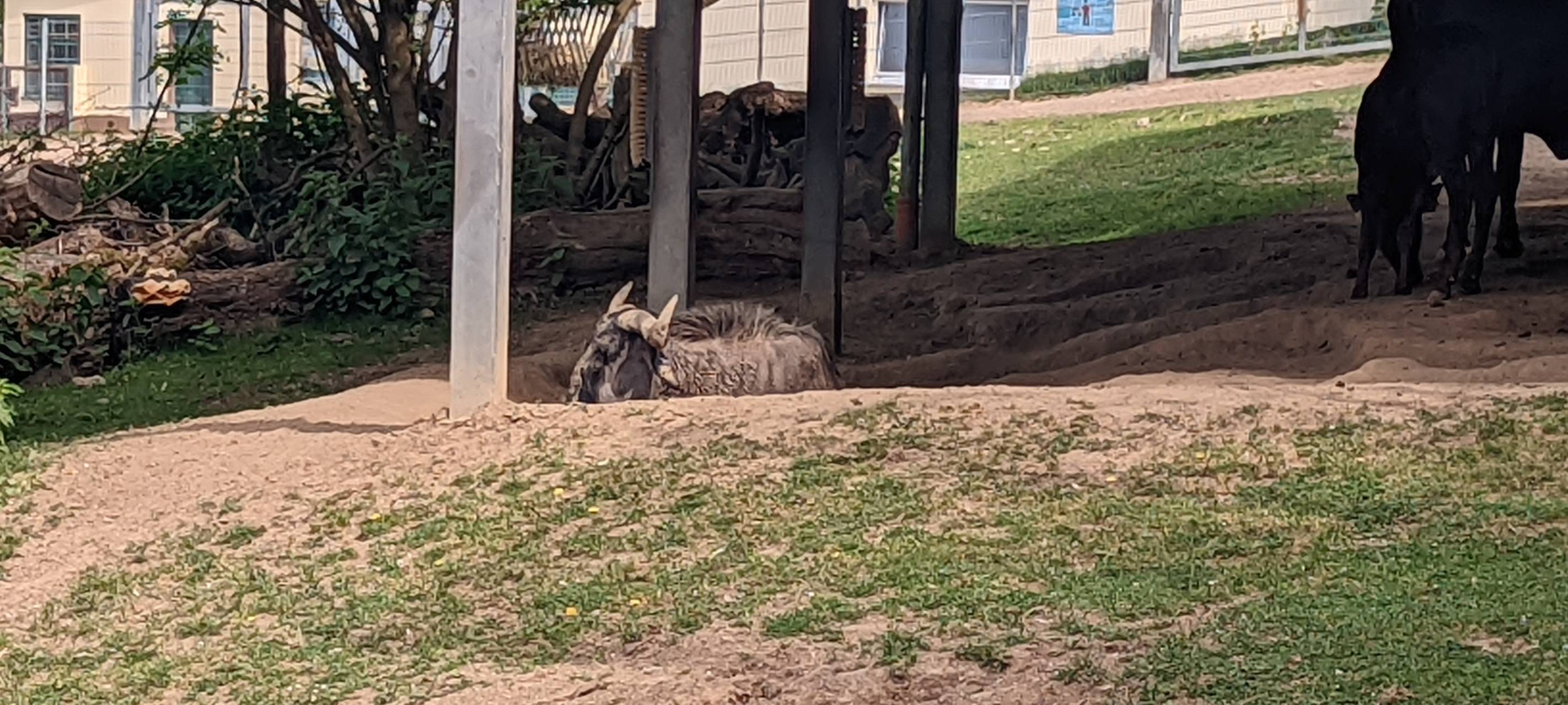 Der Zoo in Neuwied