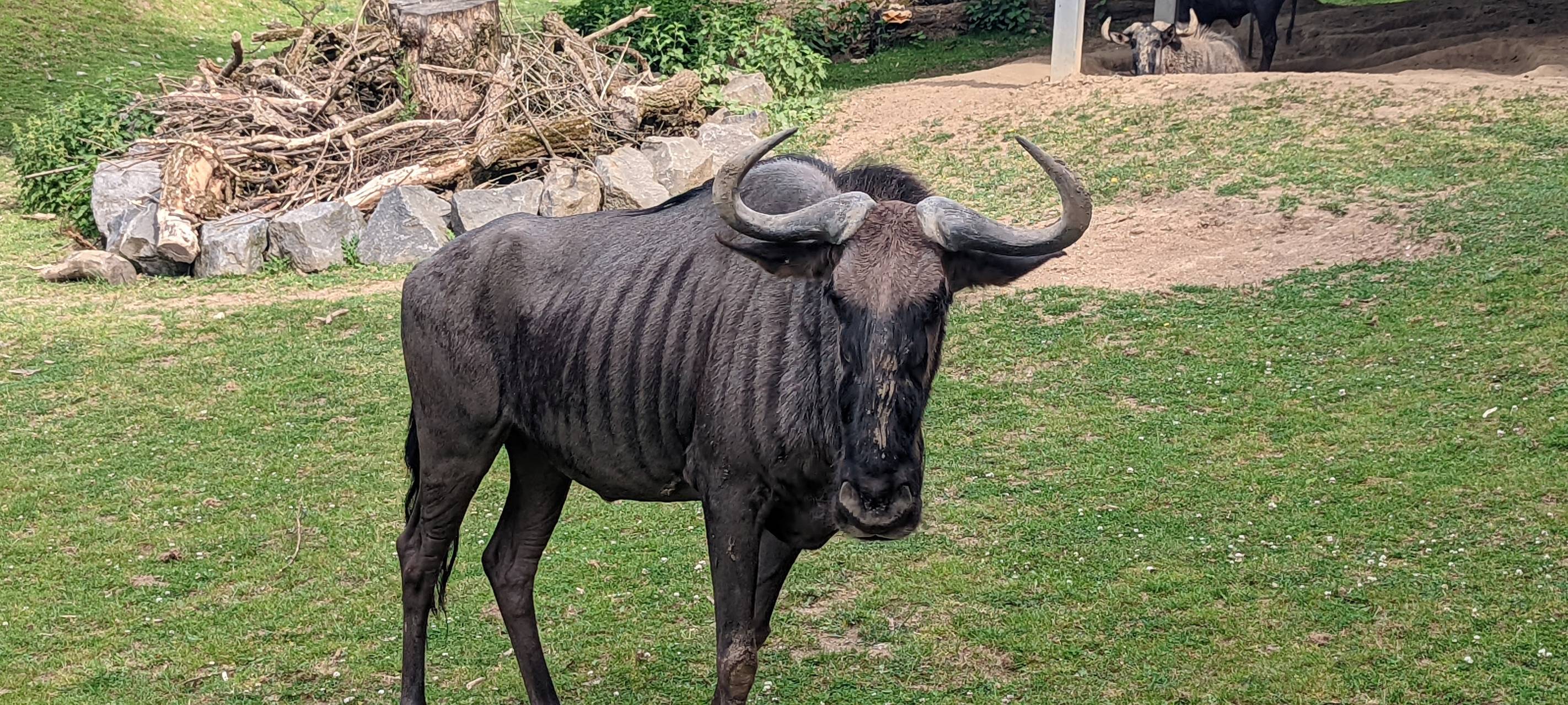 Der Zoo in Neuwied