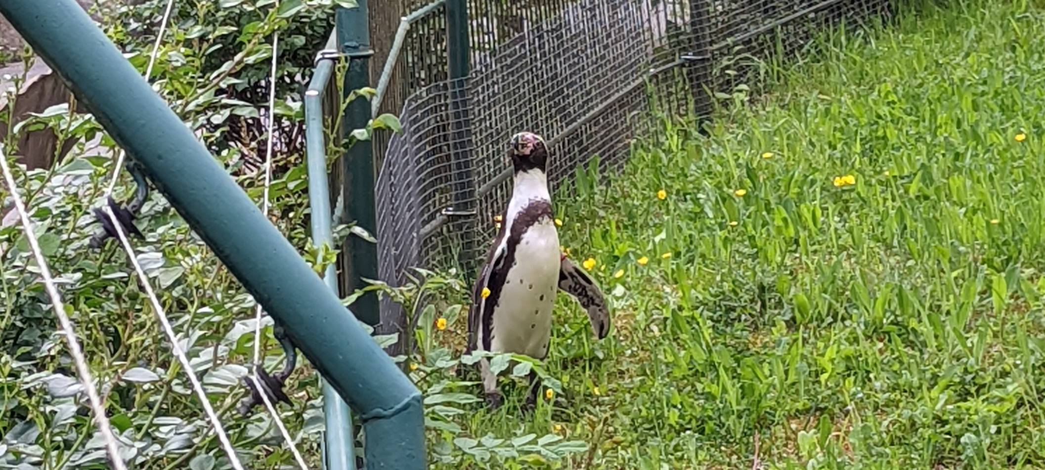 Der Zoo in Neuwied
