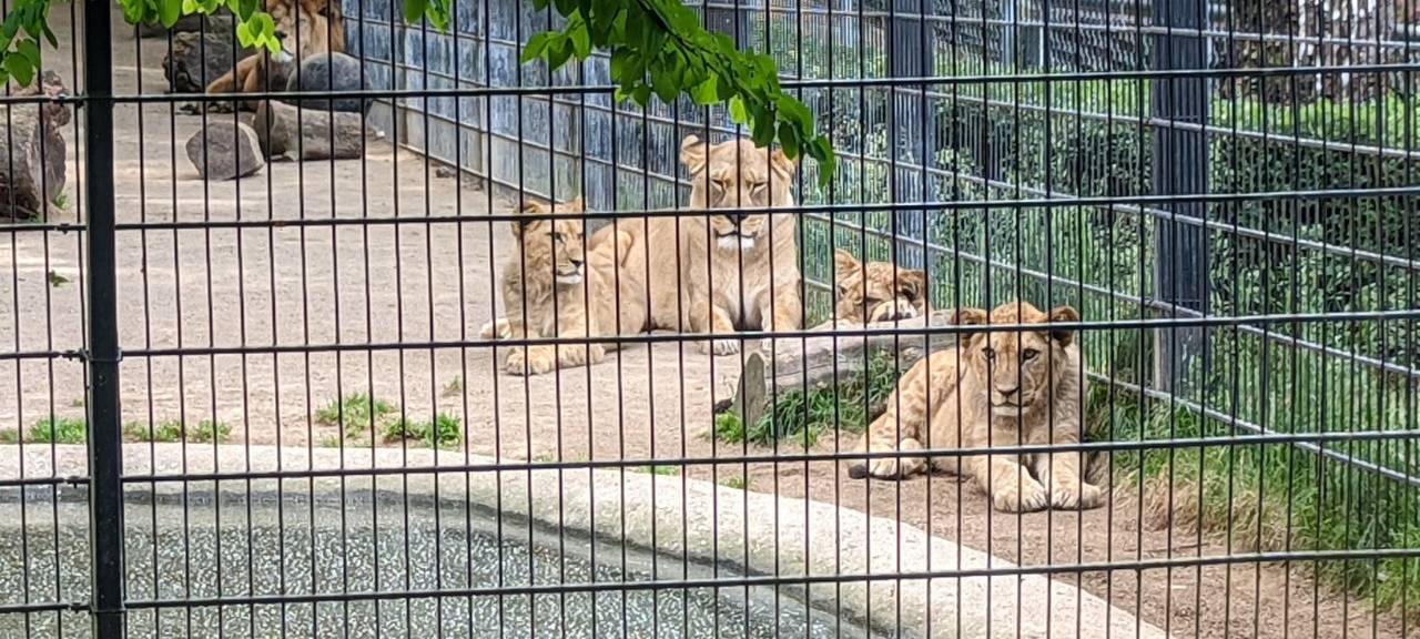 Der Zoo in Neuwied