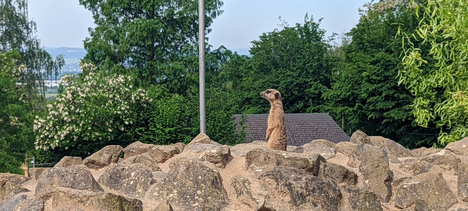 Der Zoo in Neuwied
