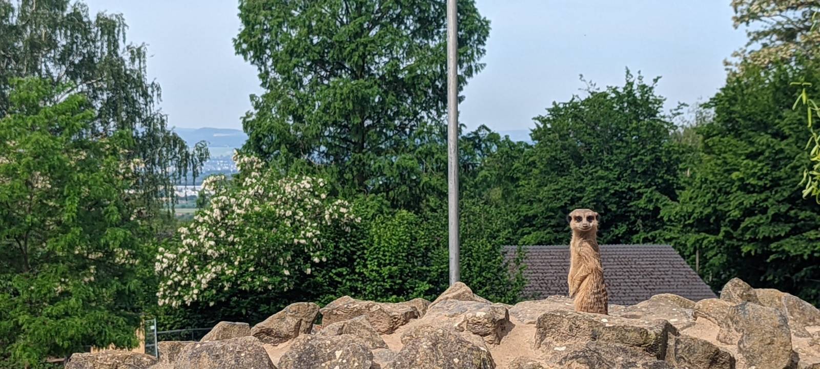 Der Zoo in Neuwied