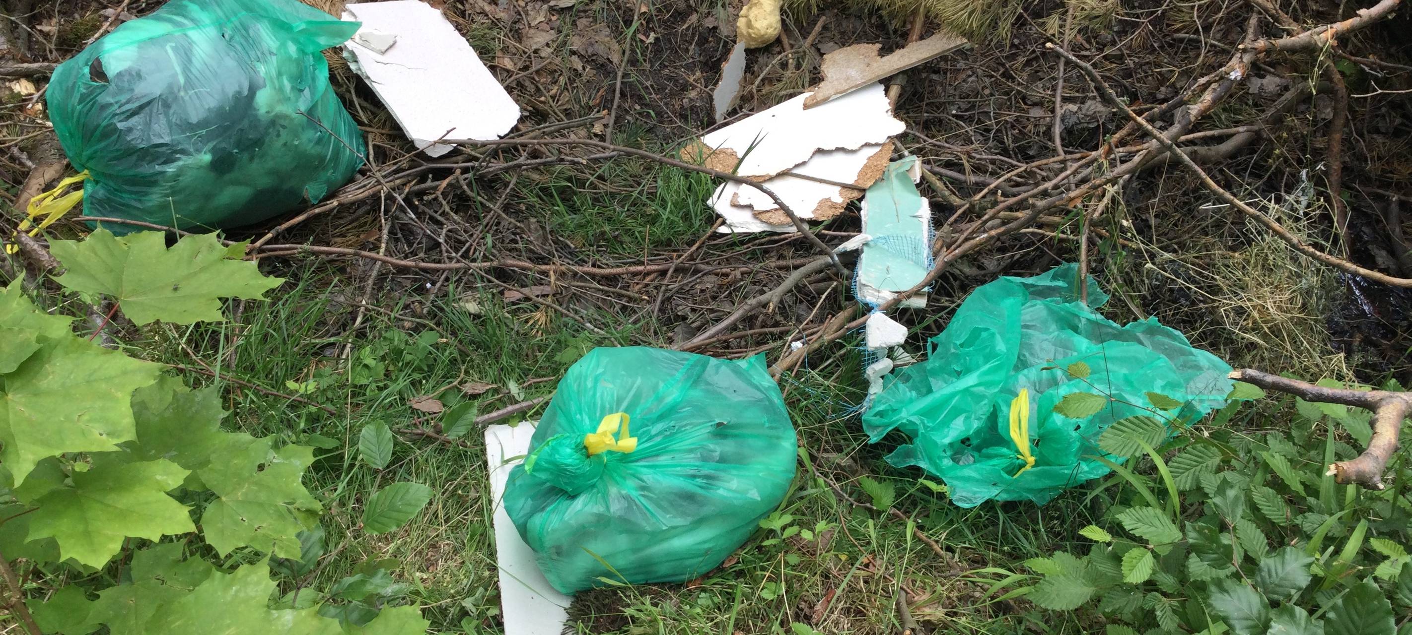 Rheinbach: Bauschutt im Wald abgeladen