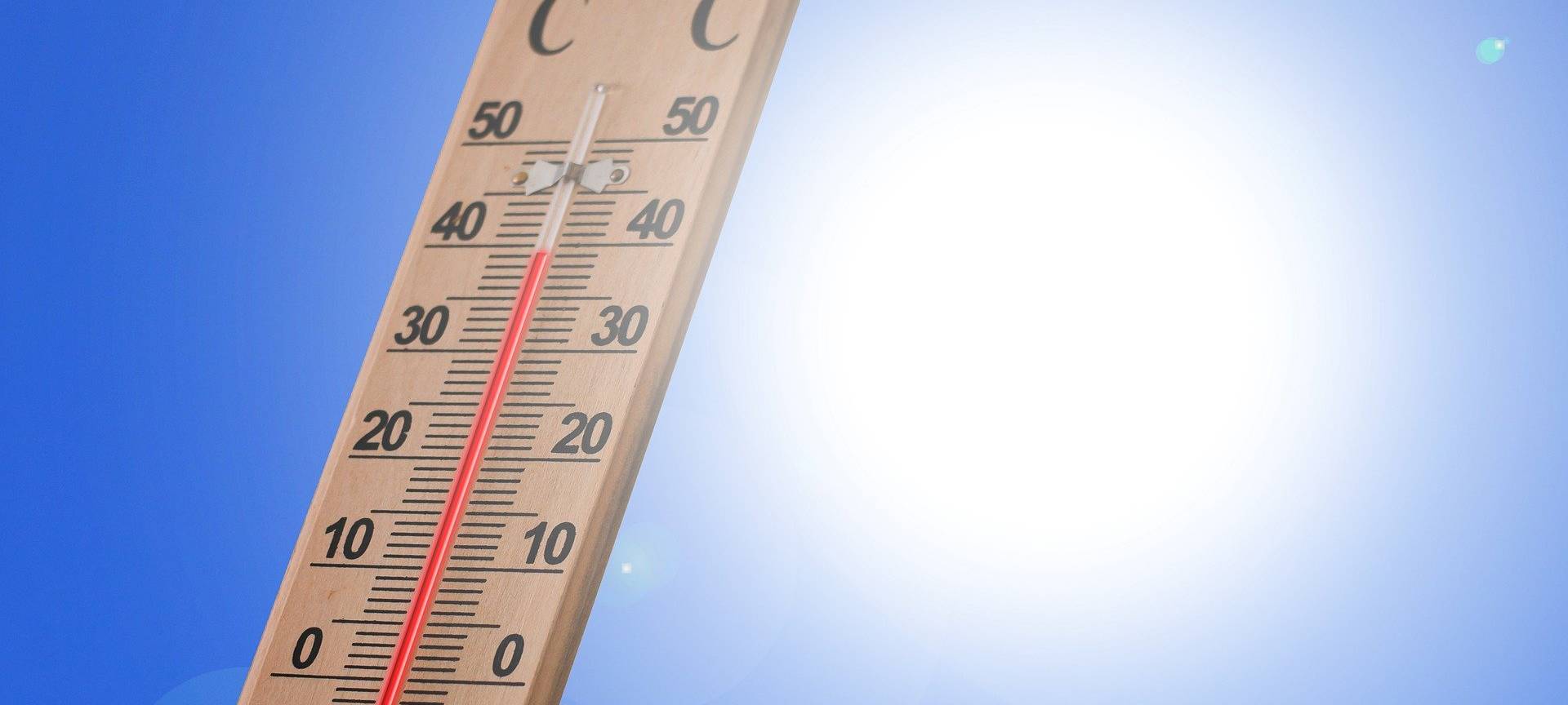 Cooling Spots: Stadt Meckenheim sorgt für Hitzesommer vor