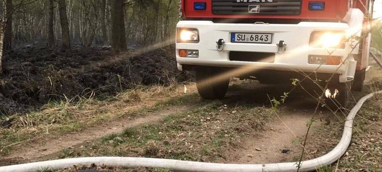 Trockenheit: Waldbrandgefahr in der Region steigt