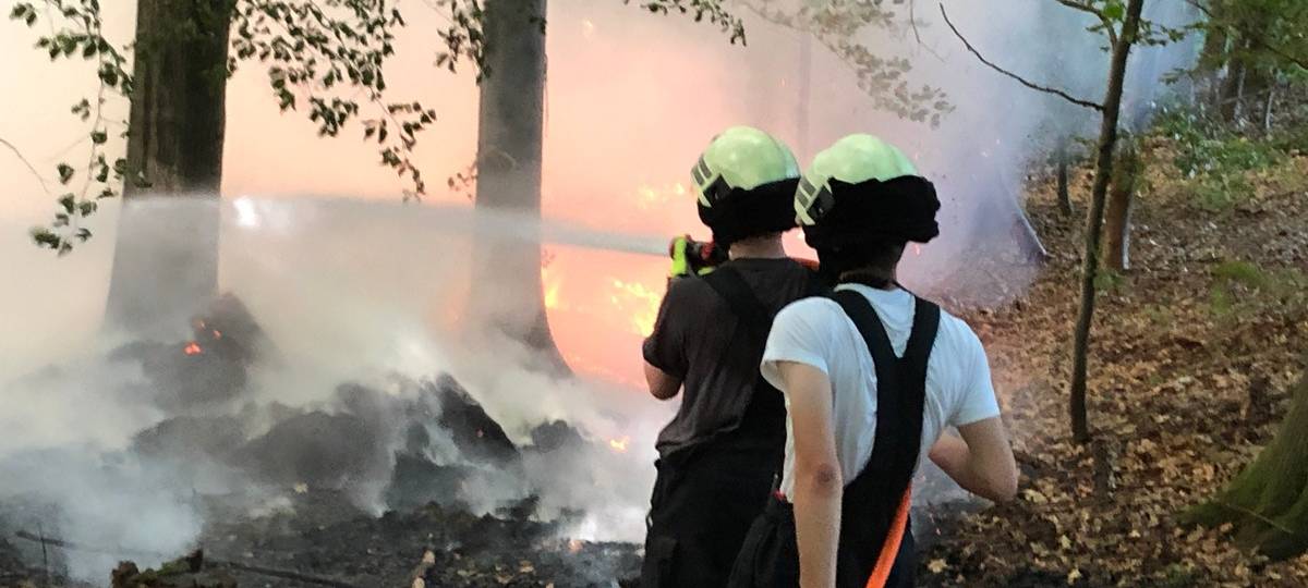 Bonn und Rhein-Sieg-Kreis: Tendenz zu mehr Waldbränden