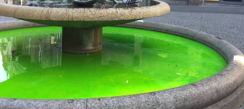 Aktivisten färben Bonner Brunnenwasser grün