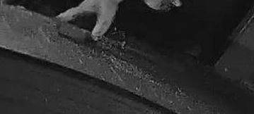 Siegburg: Videofahndung nach Kiosk-Raub