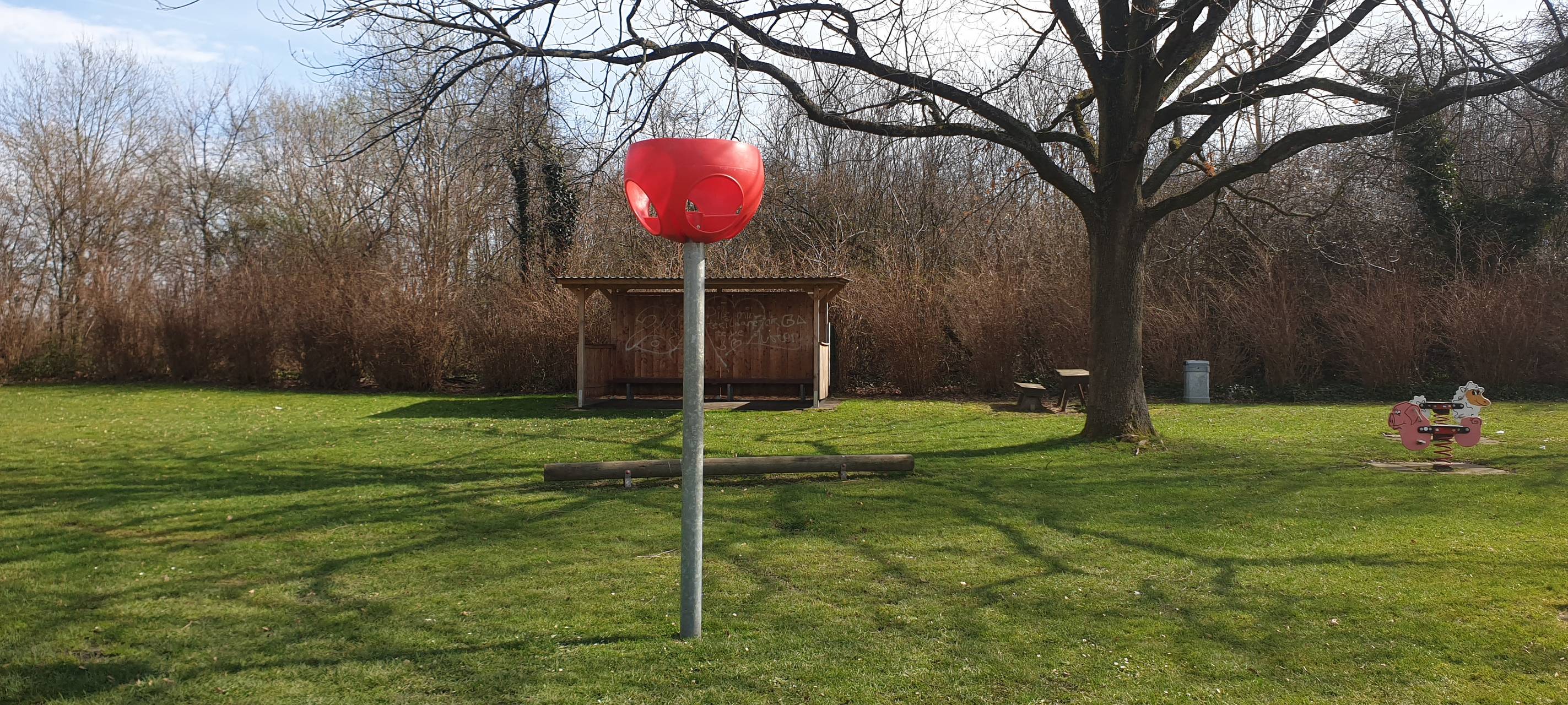 Meckenheim: Streit um Ballspielkorb