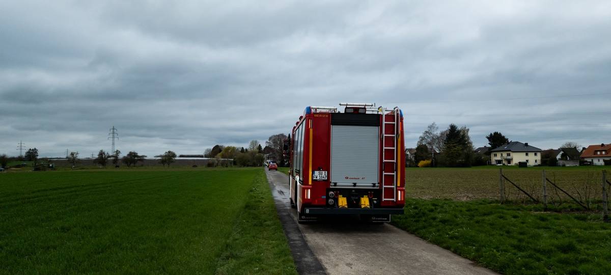 Spaziergänger in Wachtberg findet britische Brandbombe