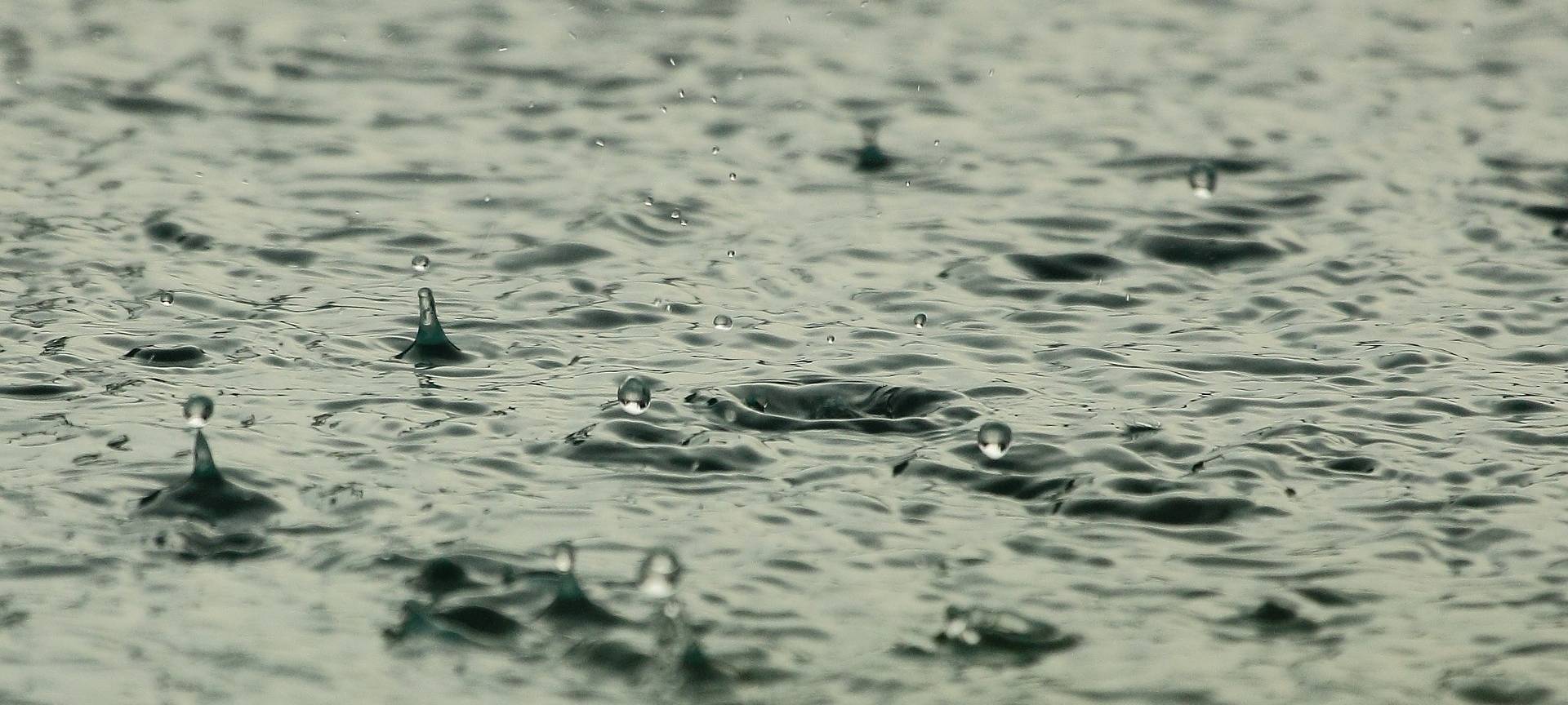 Hennef: Allner See wegen Blaualgen gesperrt