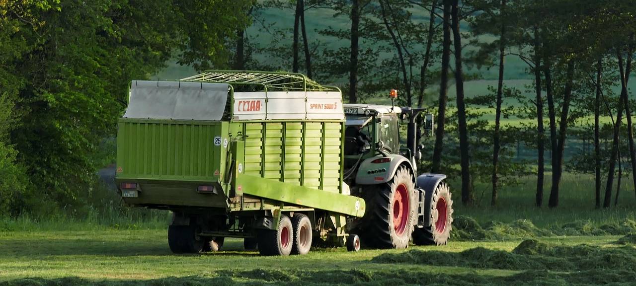 Gute Kartoffelernte bringt kaum Vorteile für Kunden