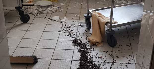 Vandalismus in Kreuzbergschule in Bonn-Lengsdorf