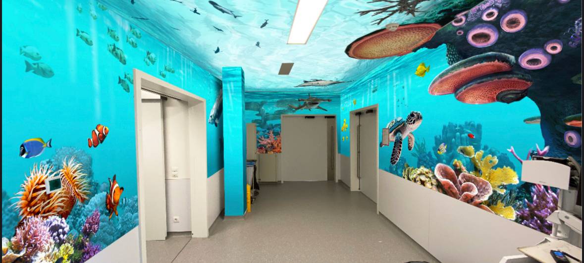 Unterwasserwelt im Uniklinikum Bonn