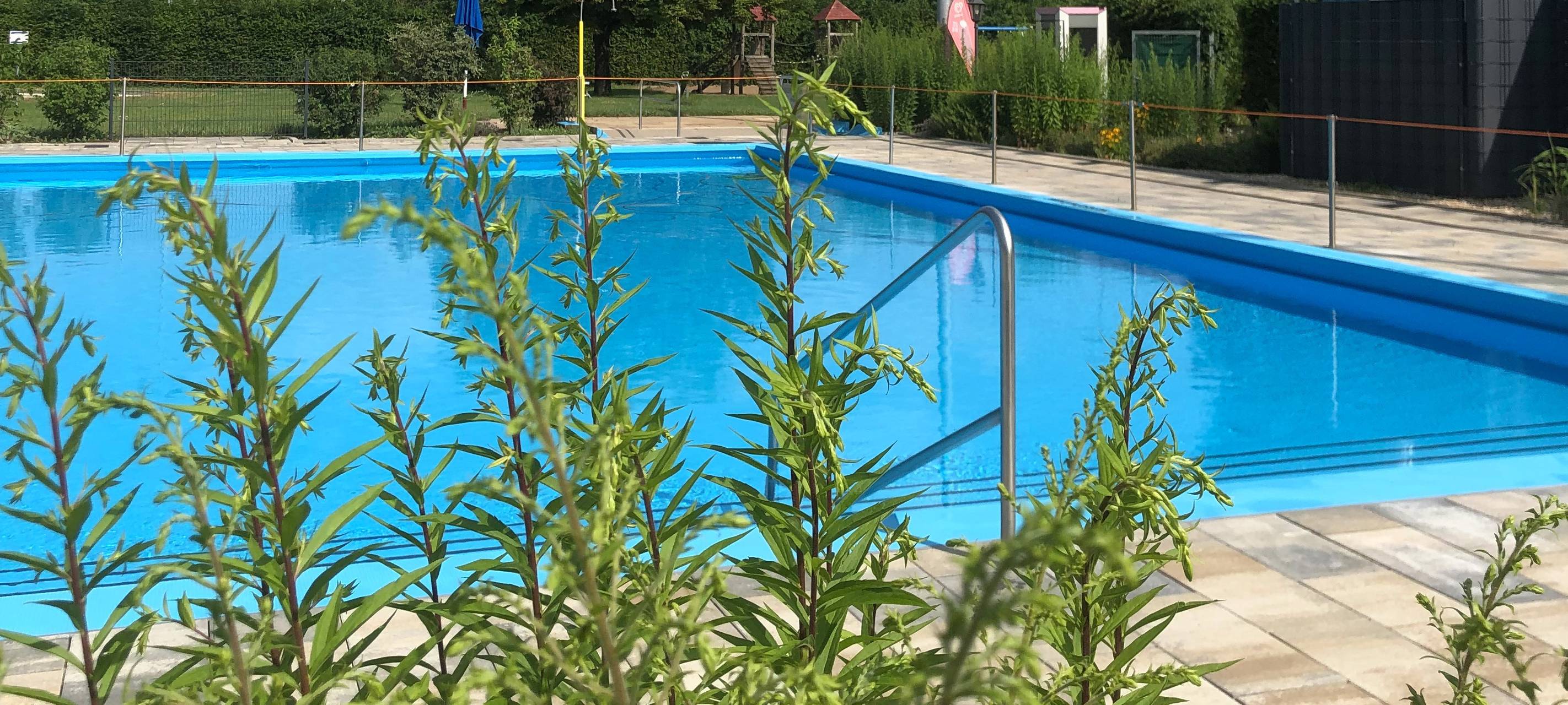 Stadt Bonn sucht schon Rettungsschwimmer für die nächste Freibadsaison