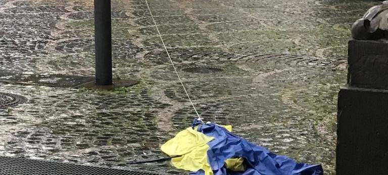 Schon wieder Vandalismus am Bonner Münster