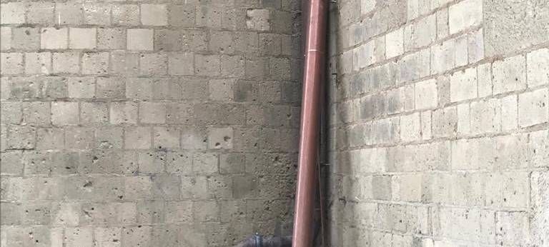 Schon wieder Vandalismus am Bonner Münster