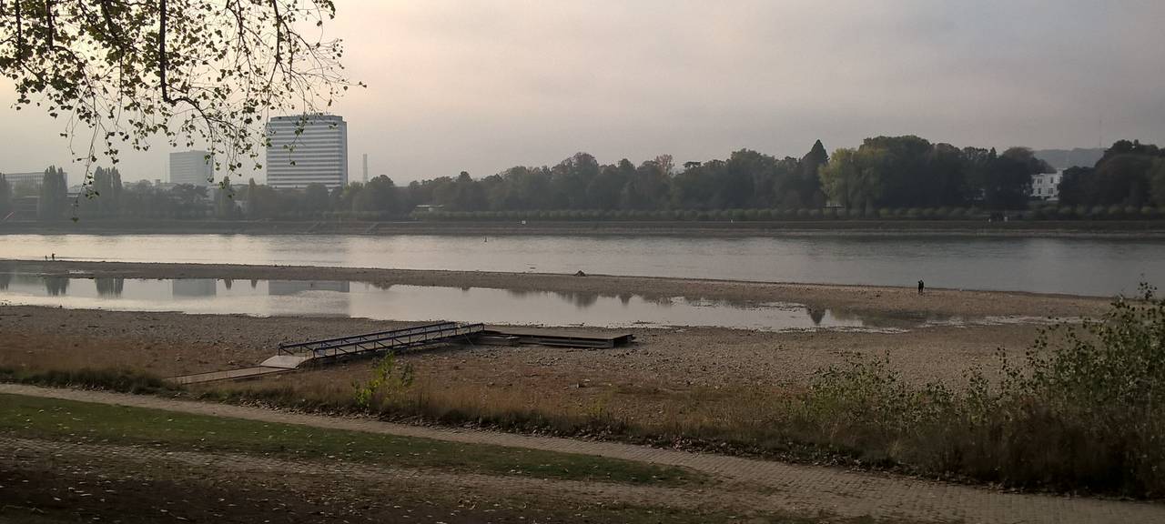 Zehntausende Freiwillige säubern Rhein beim "Rhine Clean Up"