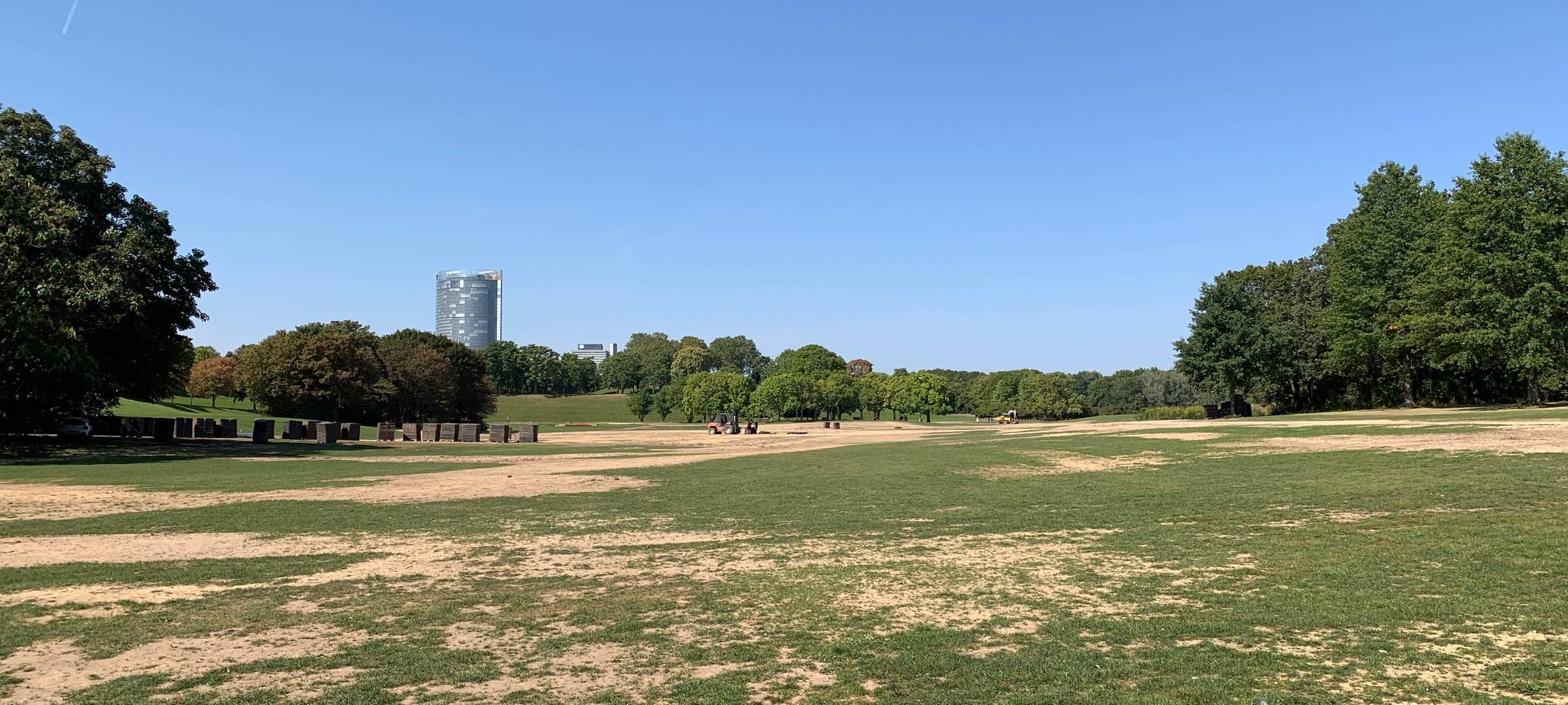 Bonner Rheinaue: große Mühen zur Wiederherstellung nach Festivals
